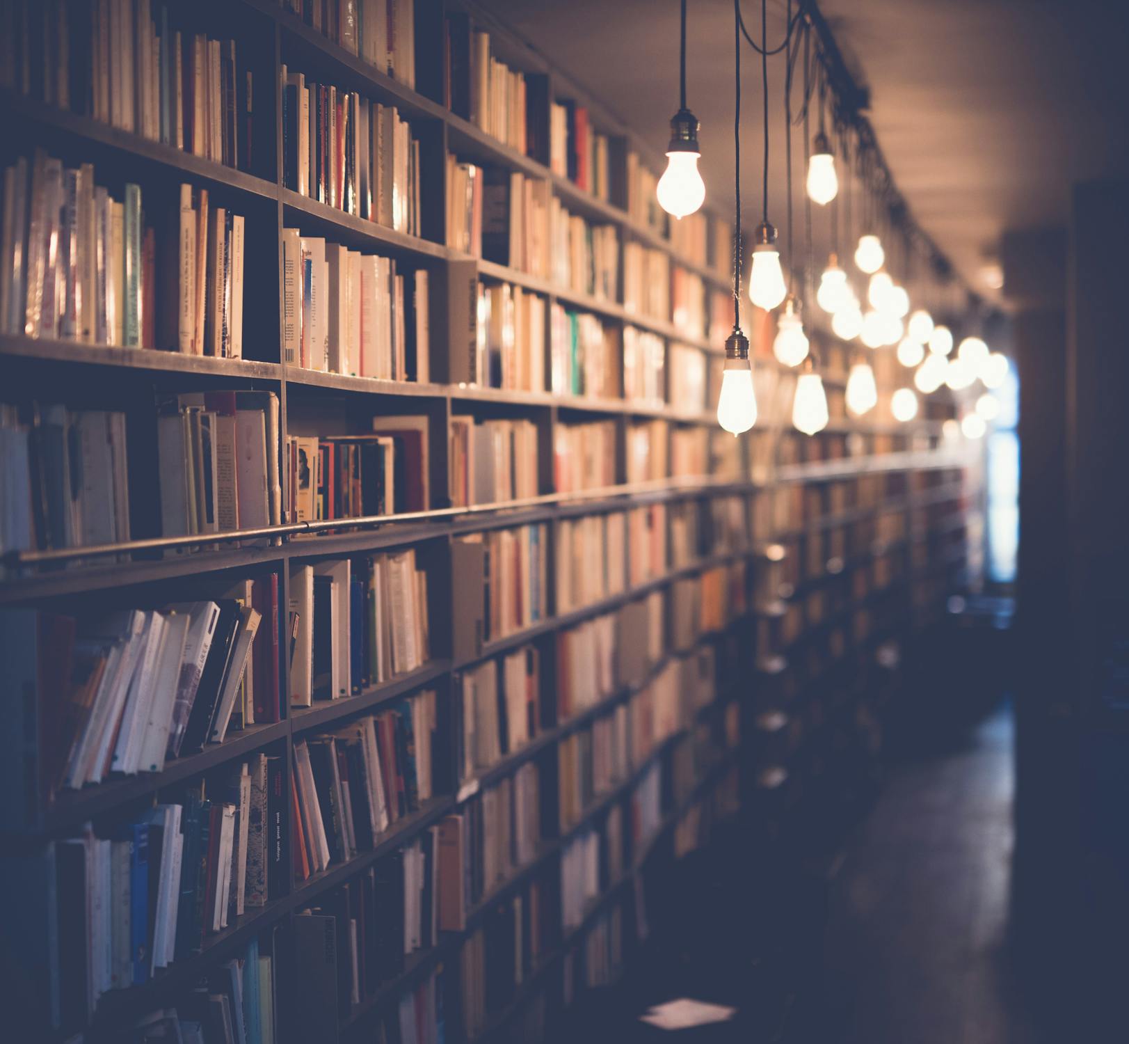 Person studiert Finanzliteratur